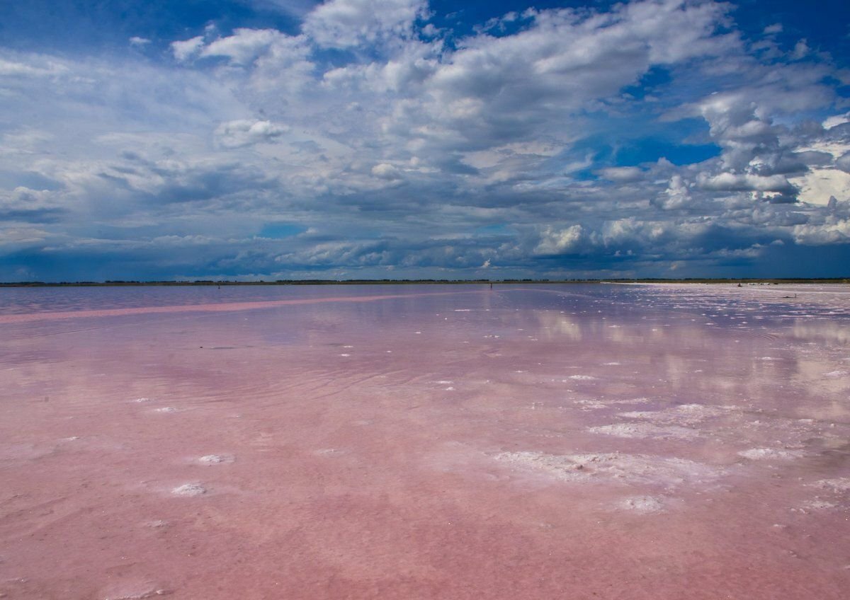 Розовое озеро Алтай Бурсоль
