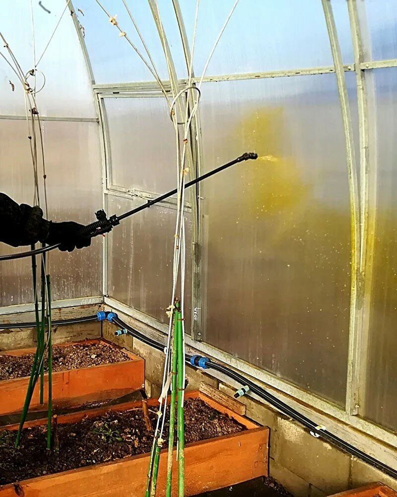 Замена стекла в теплице