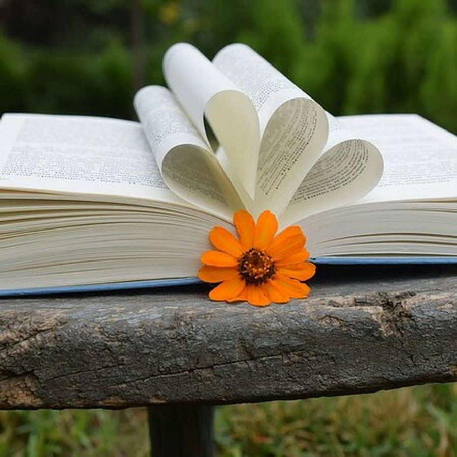 Красивые книги. Красивые книжки. Книга для…. Красивая раскрытая книга.