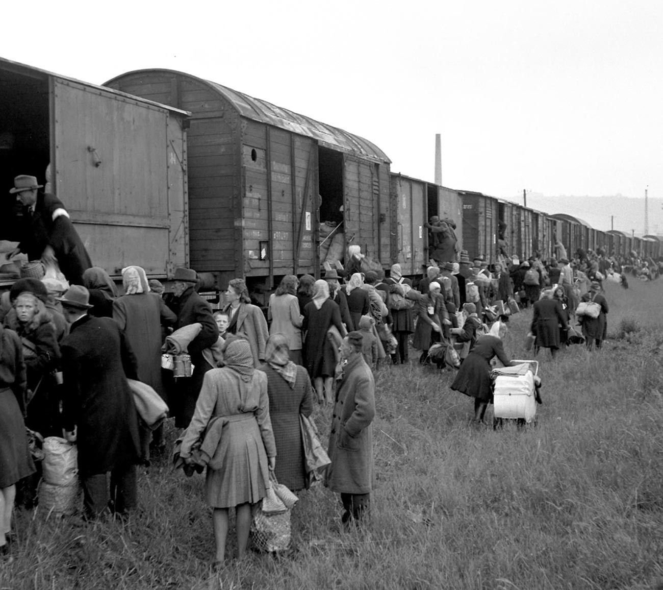 Депортация это. Переселение немцев из Поволжья 1941. Депортация немцев Поволжья в 1941. Депортация немцев Поволжья в 1941 году из Палласовки Бернгардт. Депортация российских немцев в 1941 году.