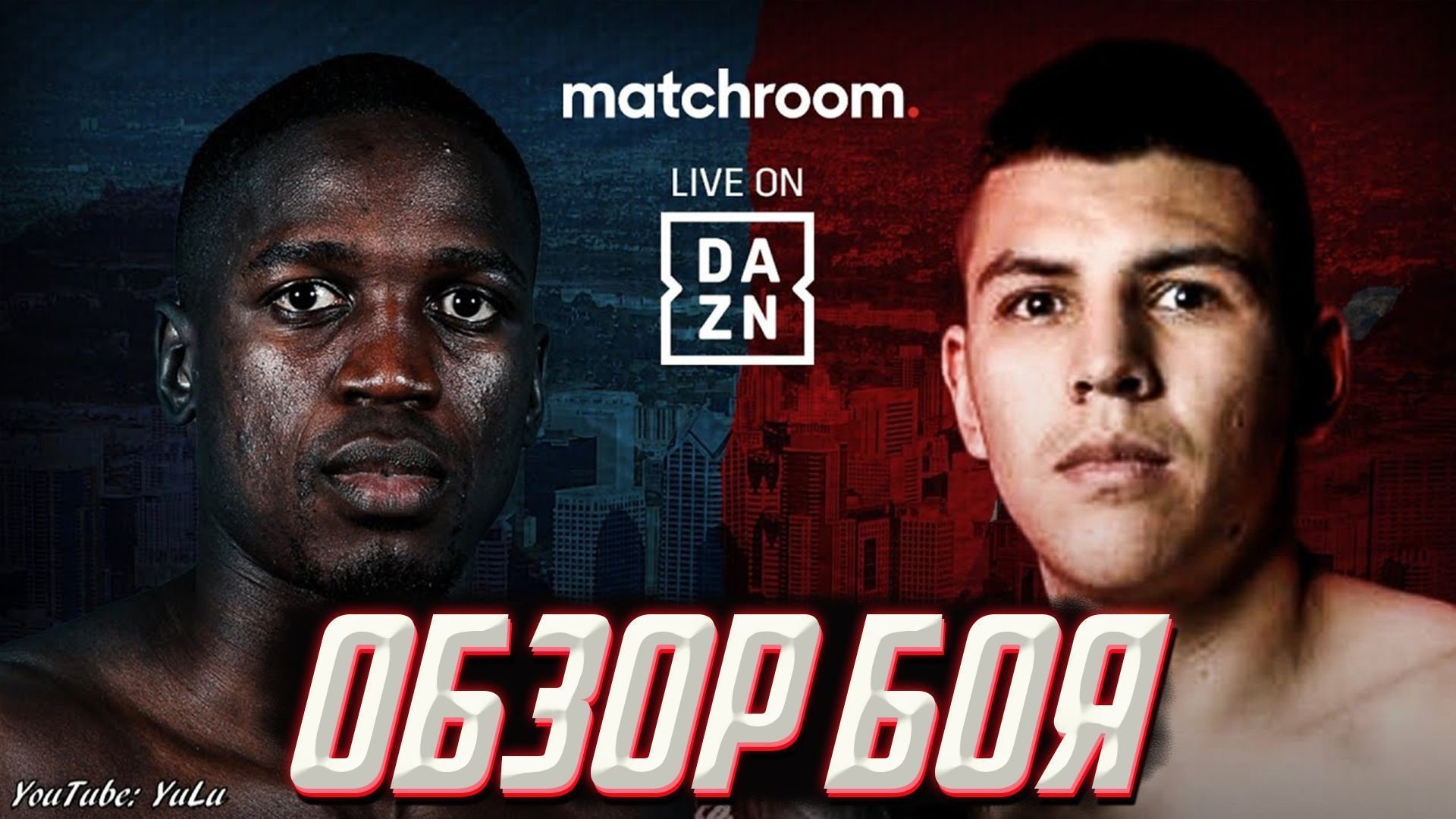 боксер 2022 отзывы