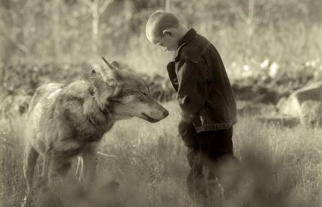 Он всему лесному году начало. Мальчик и волк. Мальчик дружит с волком. Волк и человек Дружба.