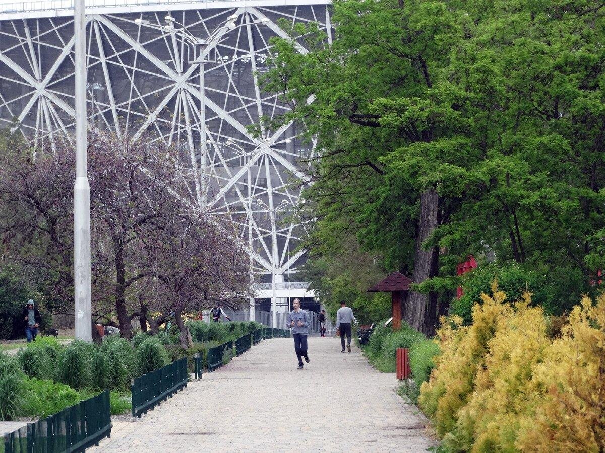 Парк в волгограде фото