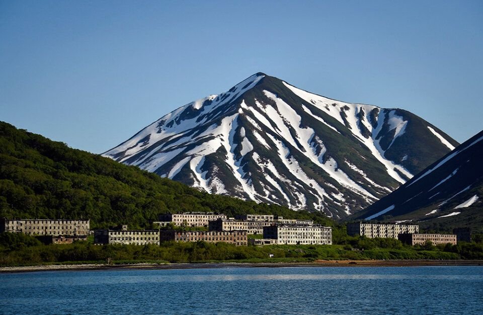 Бечевинка камчатка фото