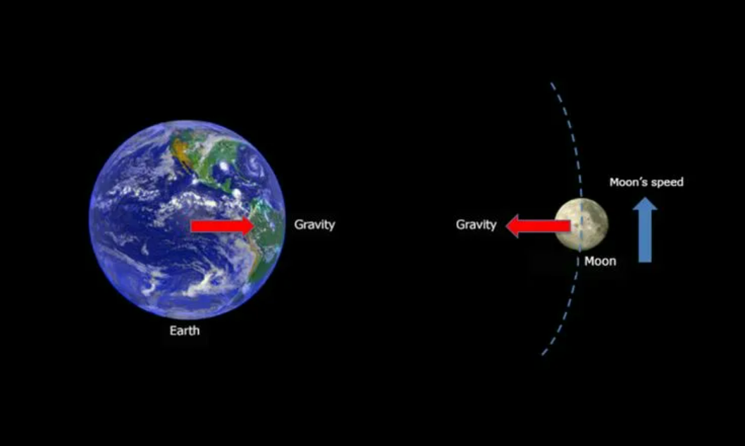 Почему луна притягивает