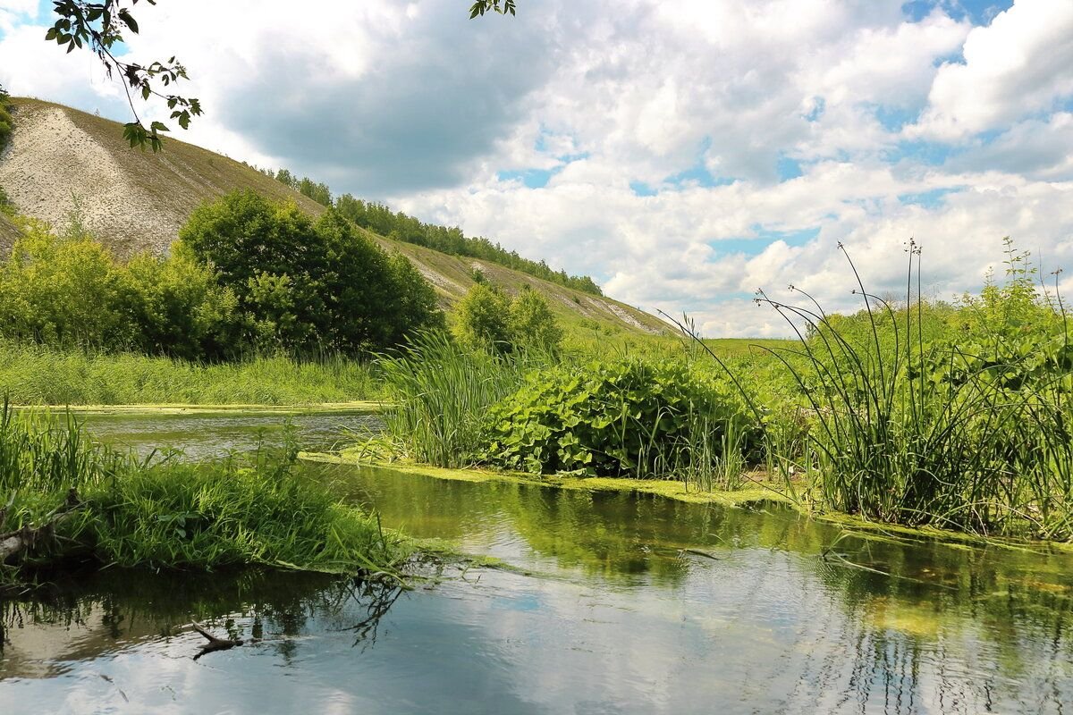 река усмань воронеж