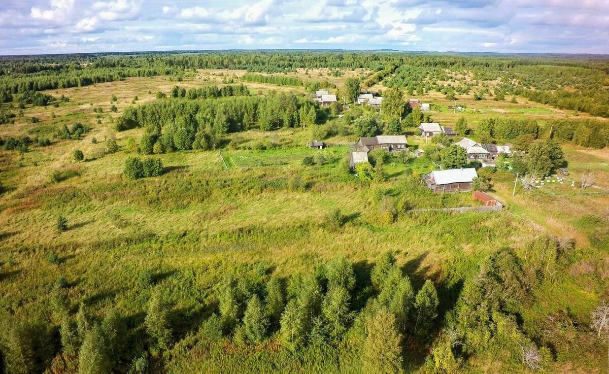 Архангельское вологодская область. Чупрово Удорский район. Степачёво (Устюженский район). Урочище Чупрово. Чупрово Вологодская область деревня.