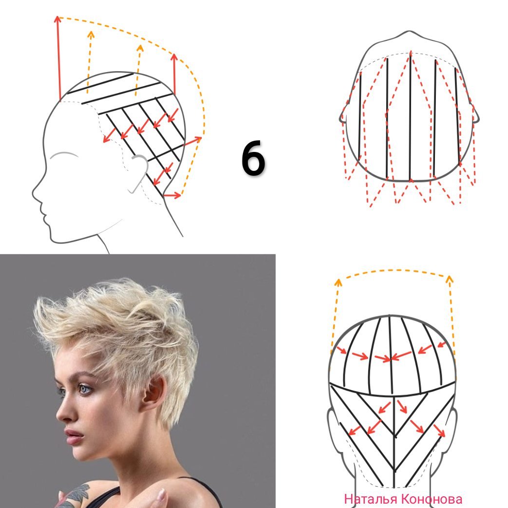 Наталья кононова схемы стрижек