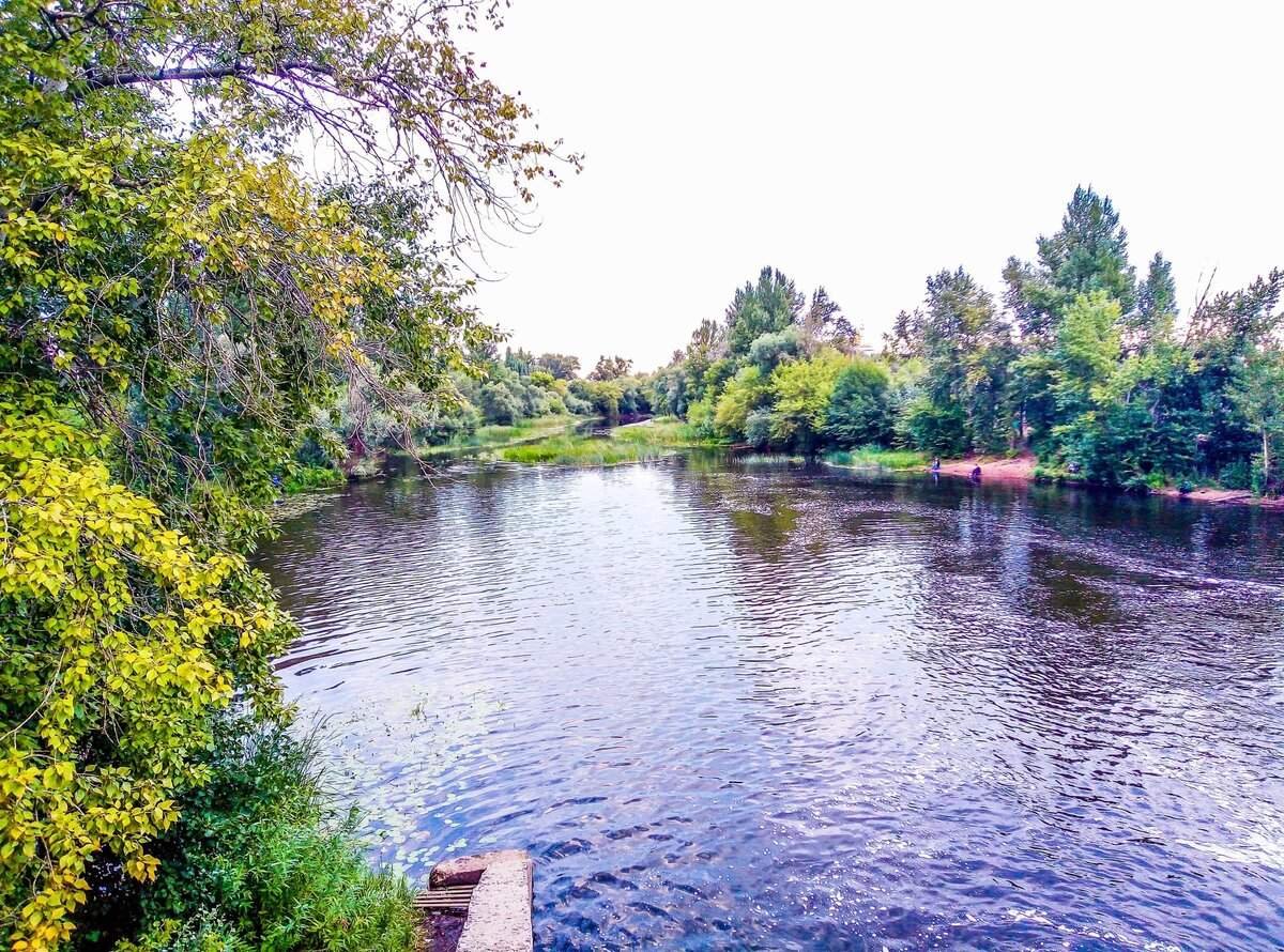 Река цна. Цна (приток Мокши). Река Дарья Ставропольский край. Река Цна Егорьевск. Цна (приток Оки).