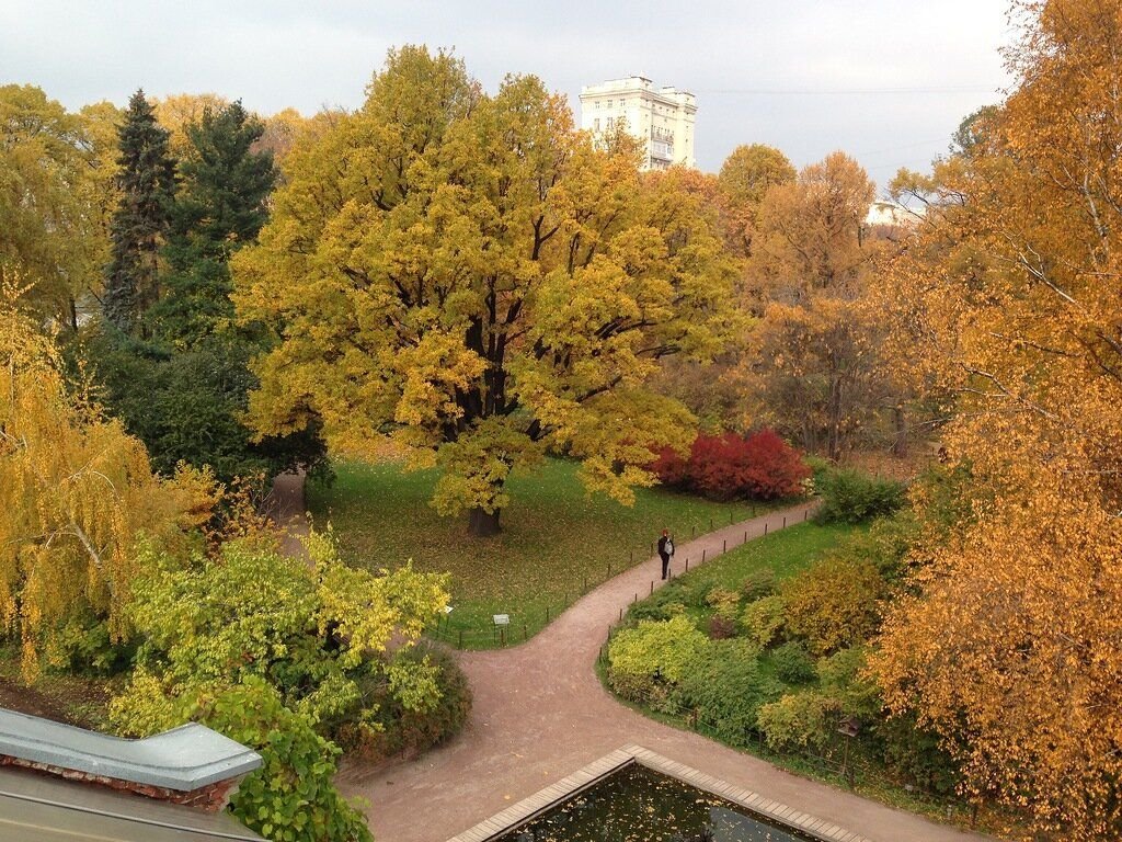 Ботанический сад санкт петербург парк дендрарий фото