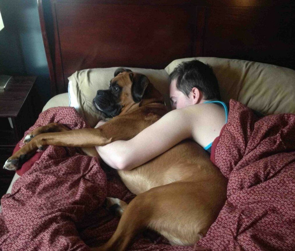 Почему собаки спят на кровати. Собаки спят в обнимку с хозяином. Собака в кровати с хозяином.