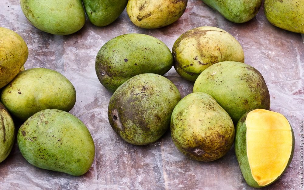 Как выглядит спелый манго. Зелёное манго сорт. Манго зеленый фрукт. Манго темная мякоть. Как выглядит спелый манго.