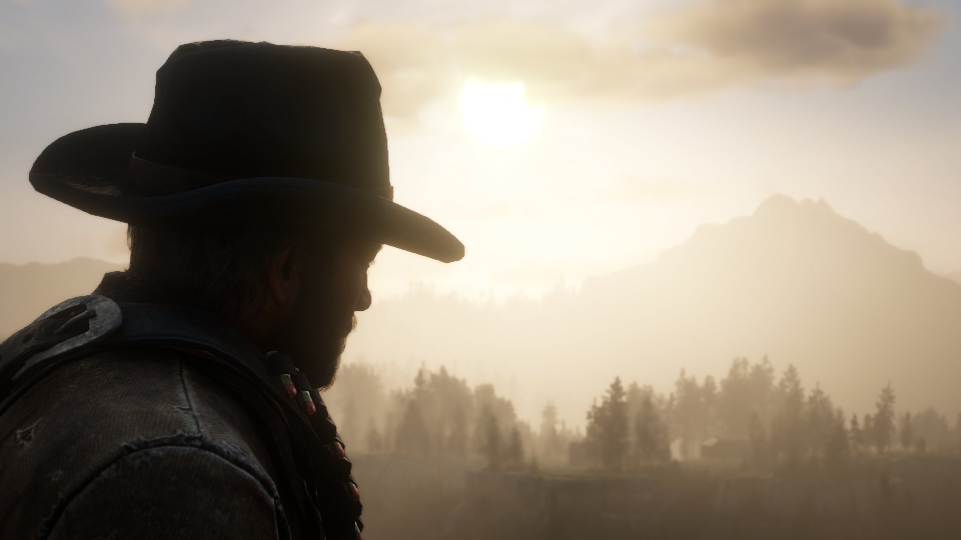 Red dead redemption 2 картина по номерам
