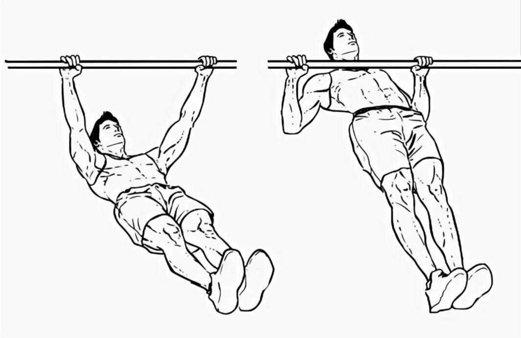 Упражнение 1. Австралийские подтягивания техника. Подтягивание из виса на низкой перекладине техника. Подтягивания хватом снизу. Подтягивание из виса лежа.