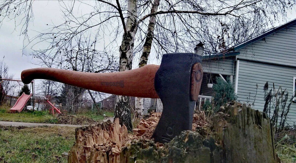 Самовольный спил деревьев. Спиленные деревья на участке. Срубленное дерево. Срубка деревьев на участке. Спилить дерево на своем участке.