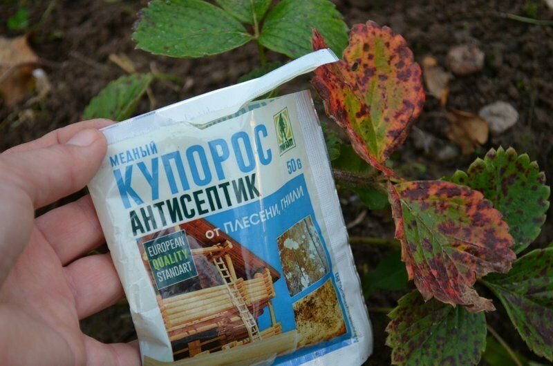 Медный купорос для осенней обработки сада - когда и как применять, что ...