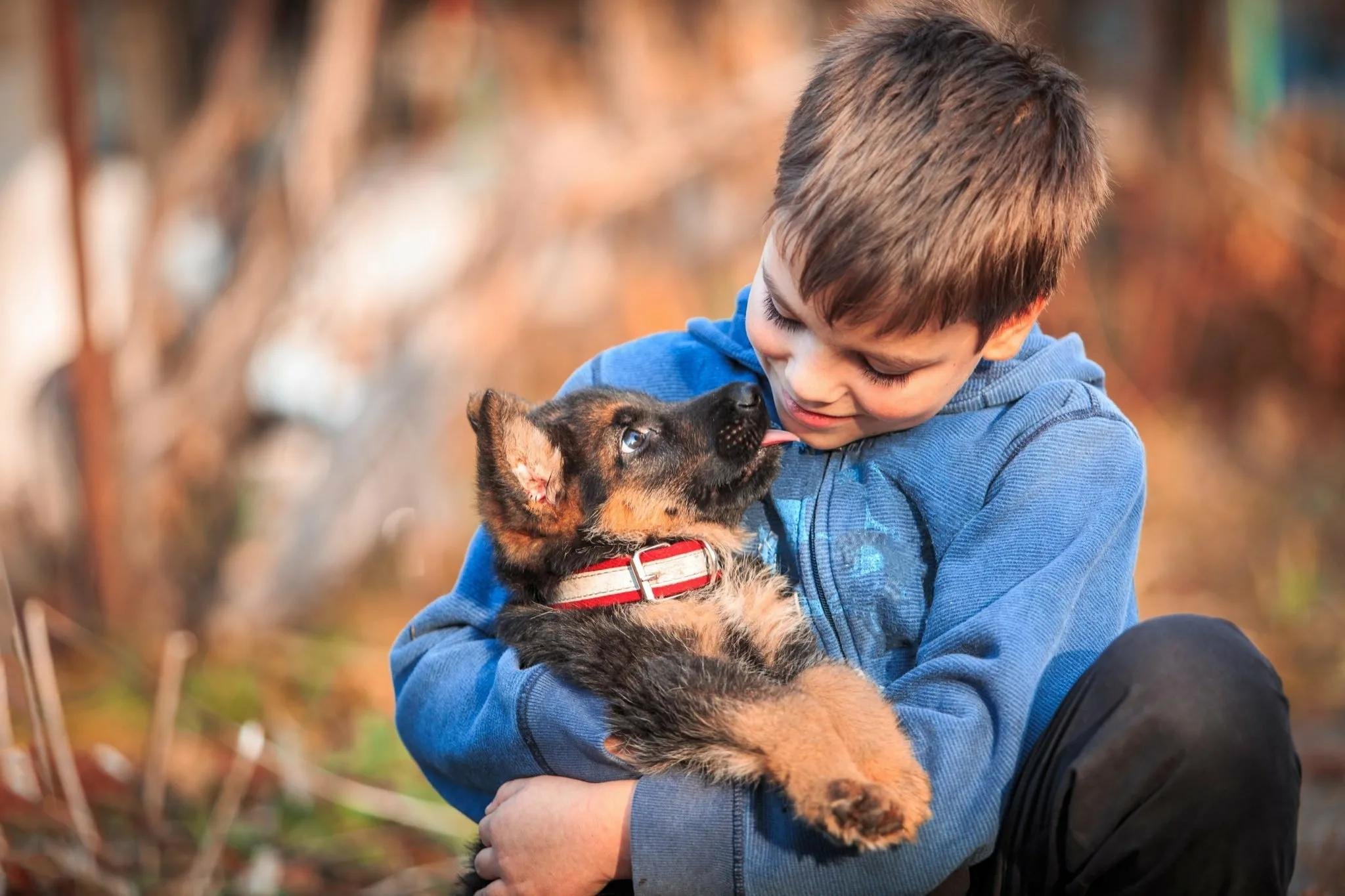 Мальчик держит собаку. Для детей. Животные. Мальчик с собакой. Домашние животные для детей. Ребенок и животное.