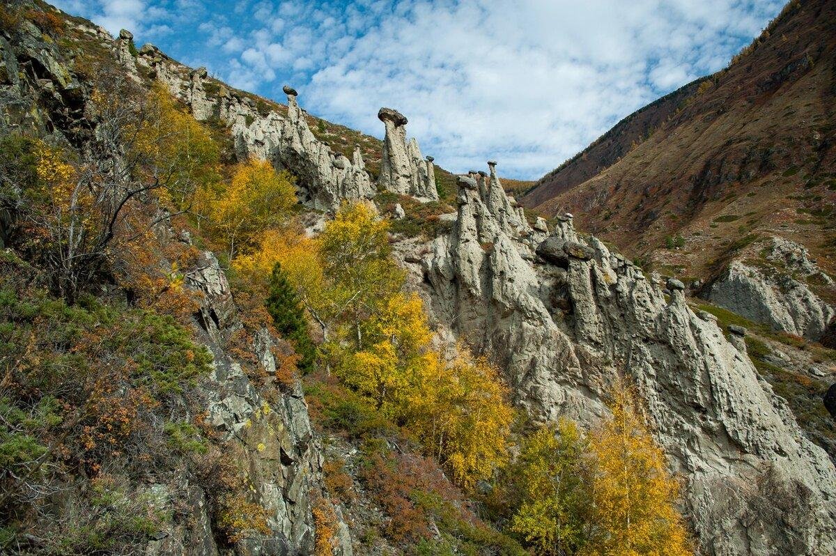 Долина Чулышмана каменные грибы