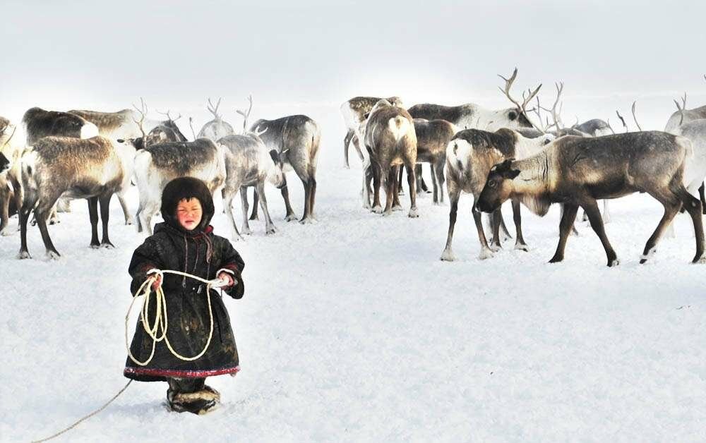 Дети севера. Воркутинские ненцы. Ныда ненцы. Ненцы Лесные и тундровые. Маленькие дети ненцы.