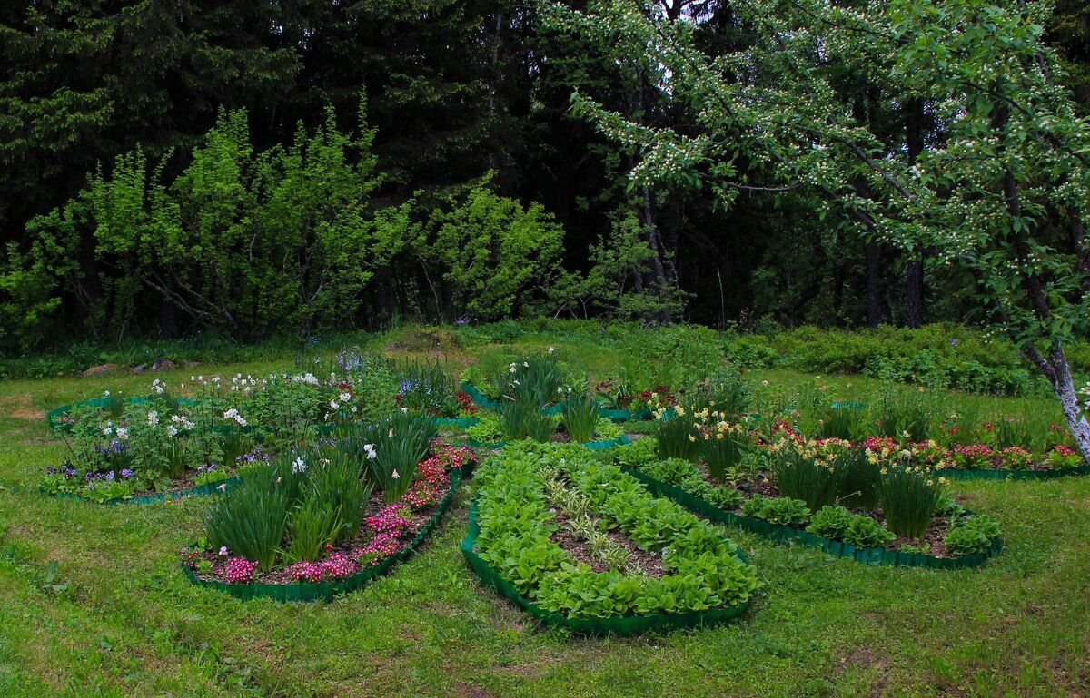 ботанический сад на соловках. ботанический сад соловецкого музея-заповедника. соловецкий монастырь ботанический сад. соловецкий ботанический сад архангельская область. ботанический сад – макарьевская пустынь.
