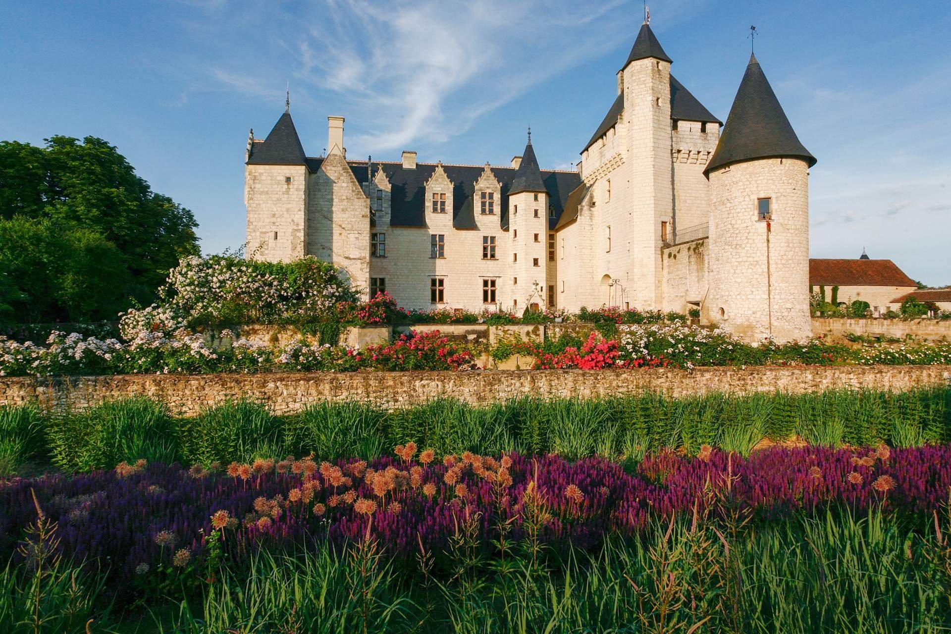 Средневековый замок во франции. Замок Риво Франция. Замок Шато Франция. Шато дю Луар. Chateau Saint Martin замок во Франции.