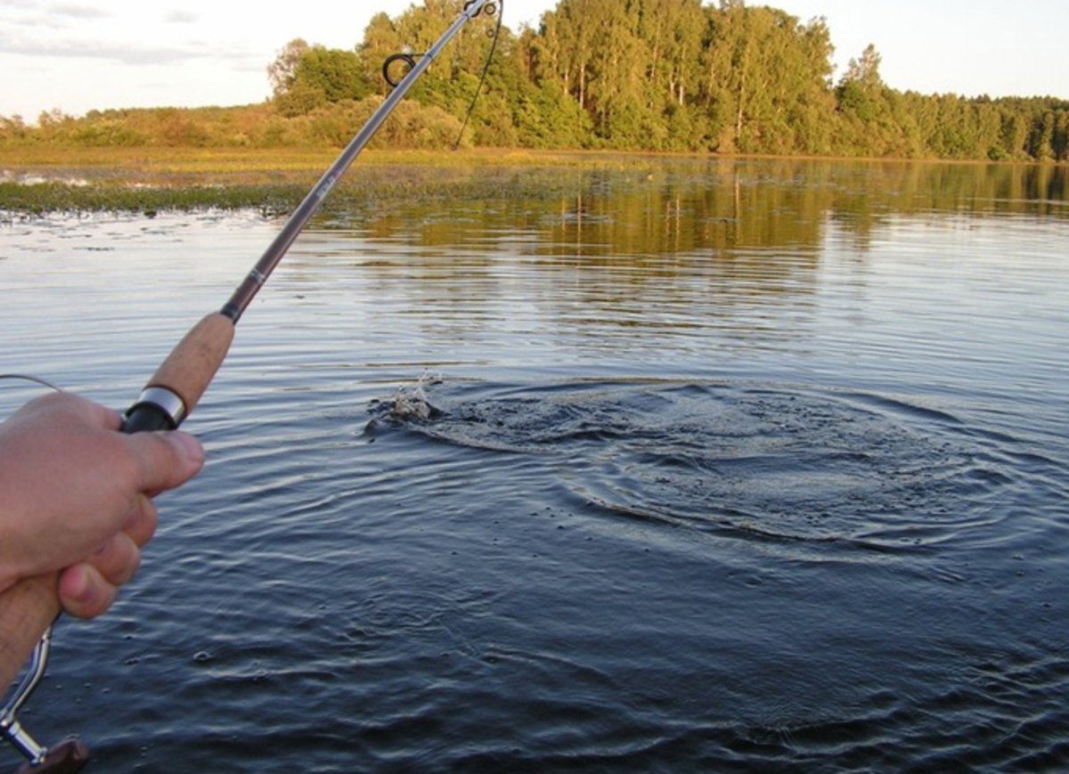 Angry fisherman