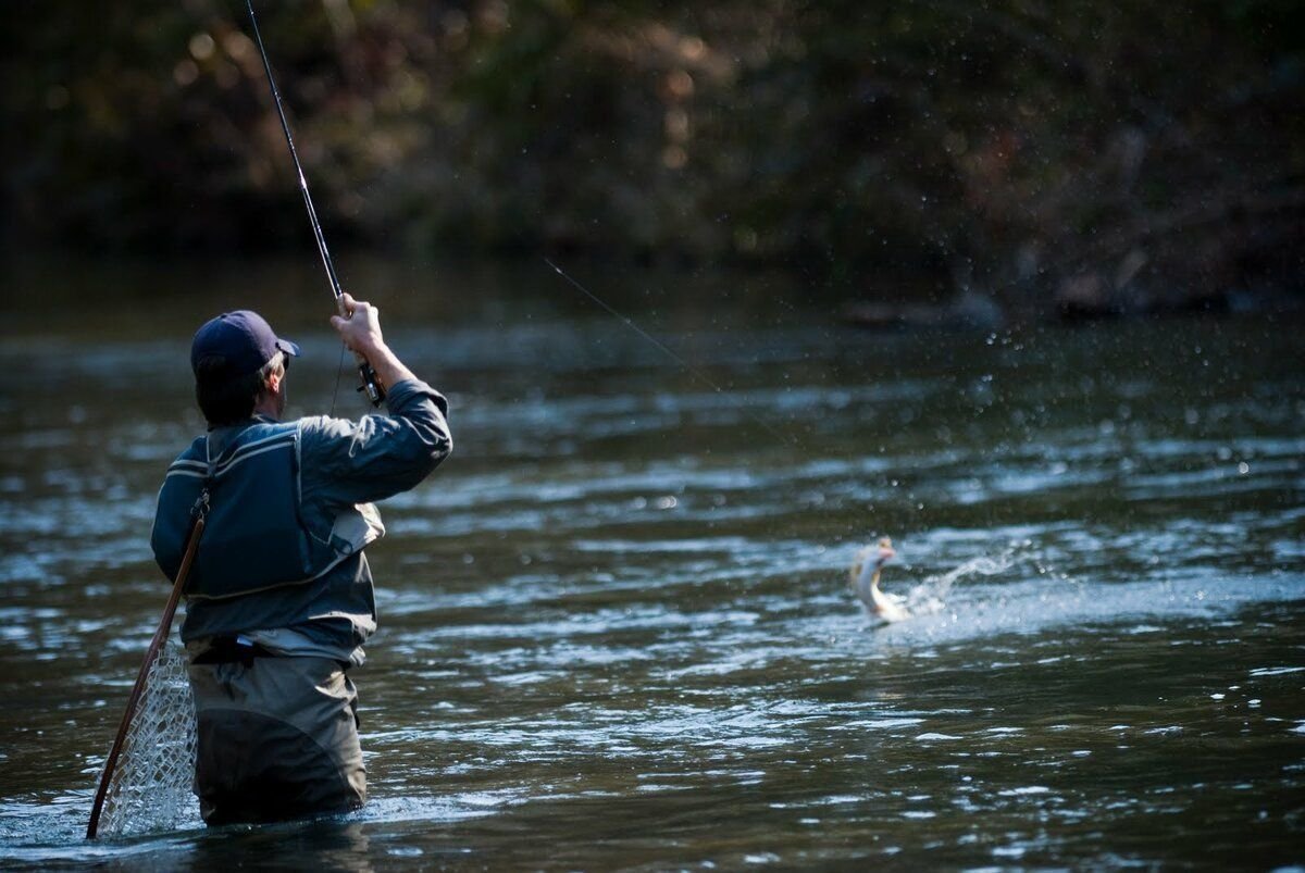 Ловить большую рыбу на удочку. Рыбак на реке. Рыбак на рыбалке. Вываживание крупной рыбы. Ловить рыбу.