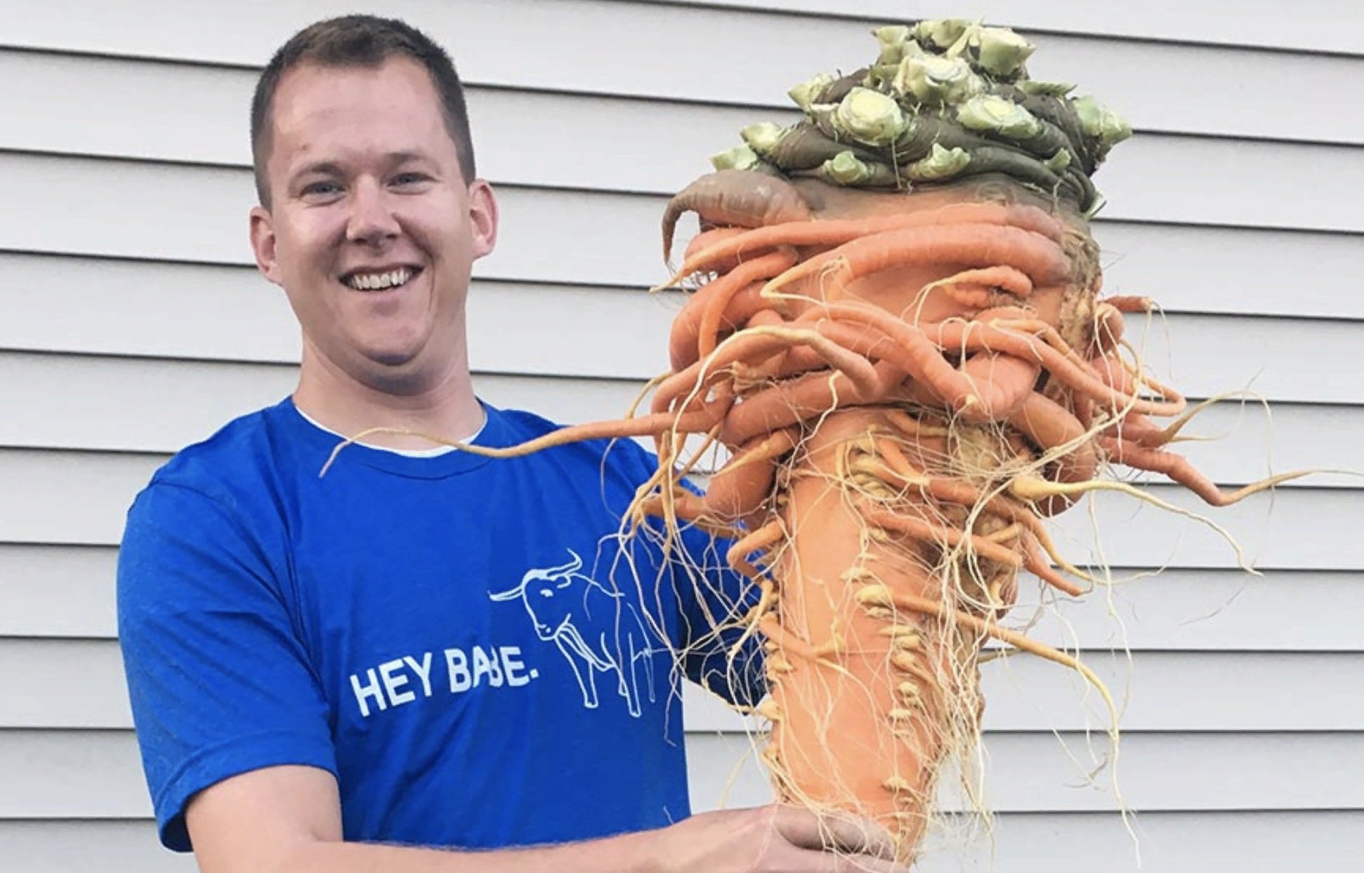 Кристофер Квалли самая большая морковь