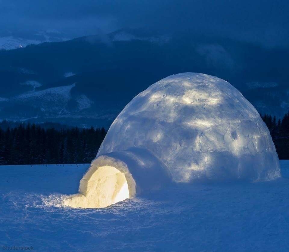 Эскимосы жилище эскимосов. Снежные шарики на дереве из снега. Сугроб 4 буквы. Сугроб в разрезе. Иглу жилище.