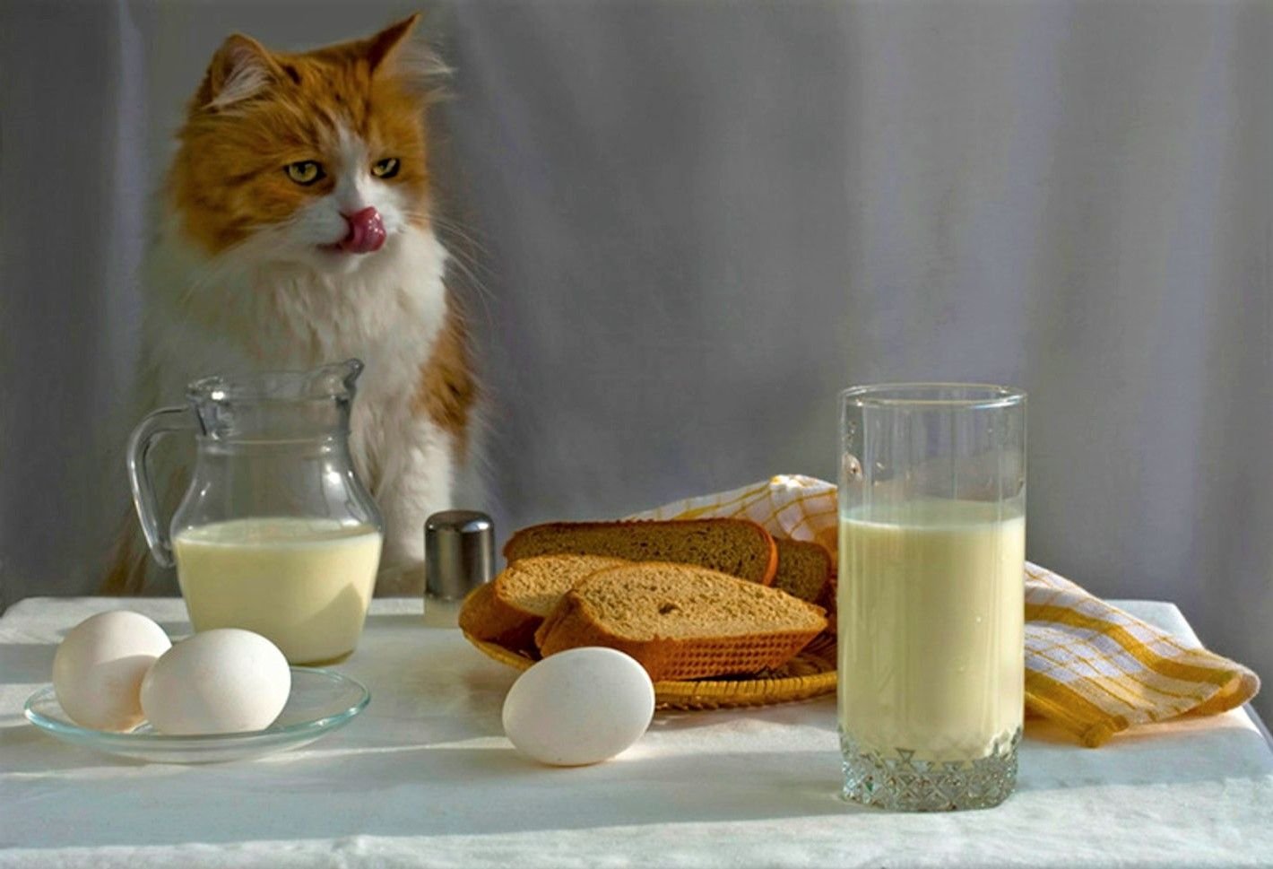 Кошка с молоком картинка
