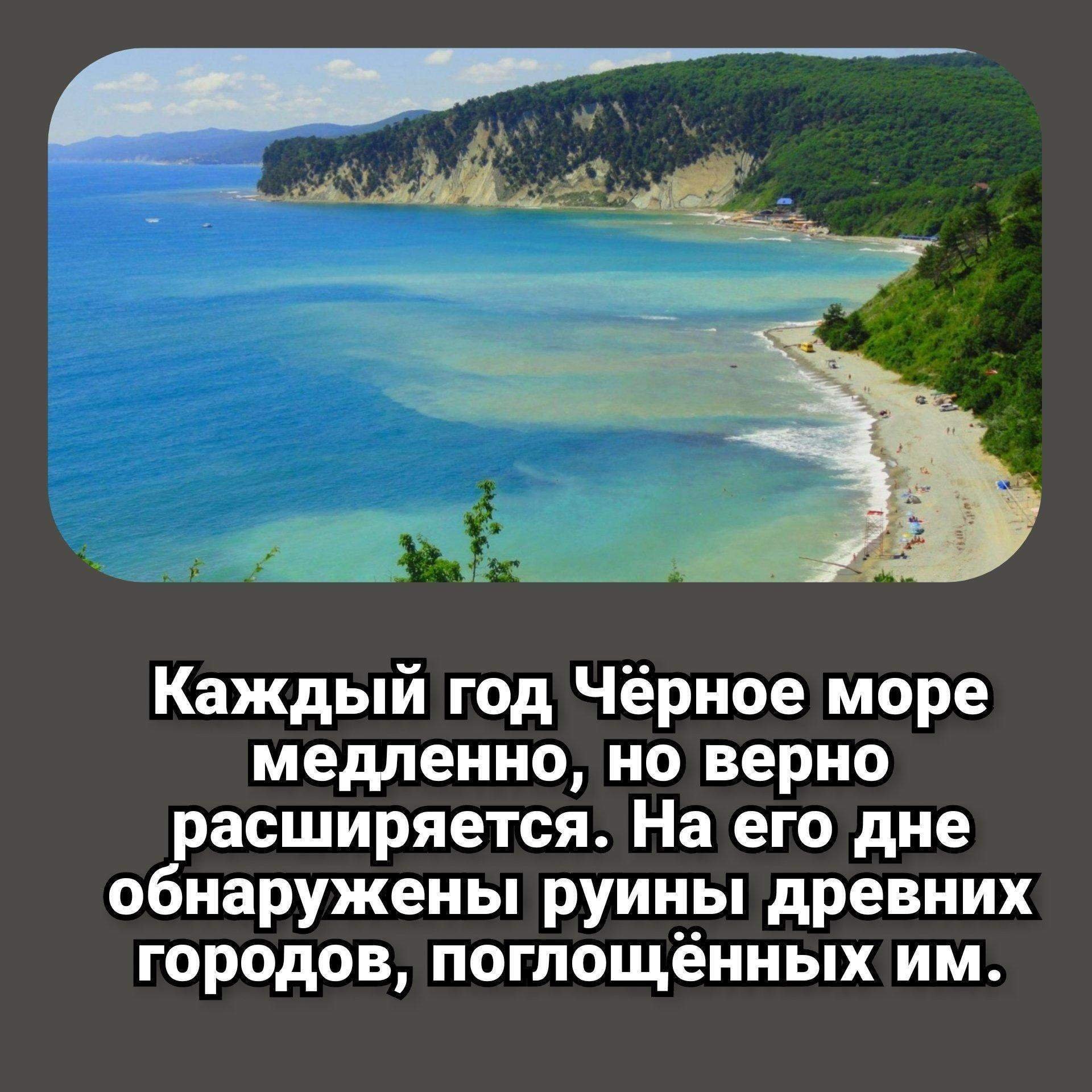 все о черном море