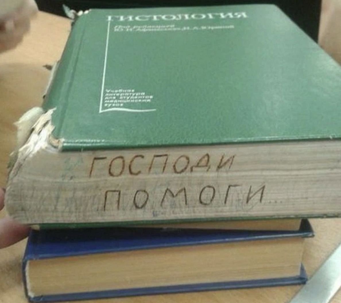 Сессия в медицинском. Студенты медики приколы. Приколы про студентов медиков. Смешные приколы про студентов медиков. Шутки про студентов медиков.