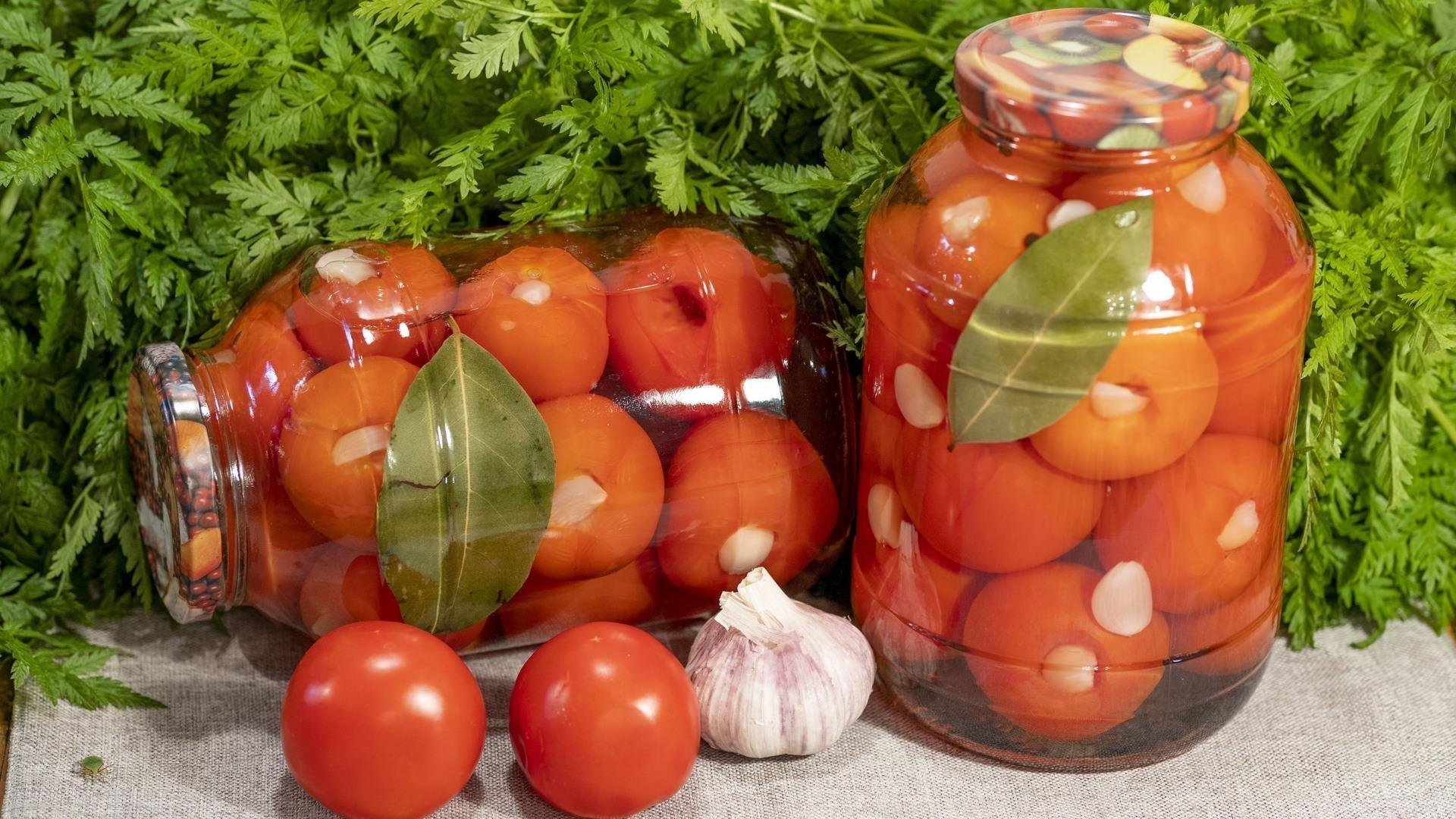 Как засолить зеленые помидоры на зиму без уксуса холодным способом