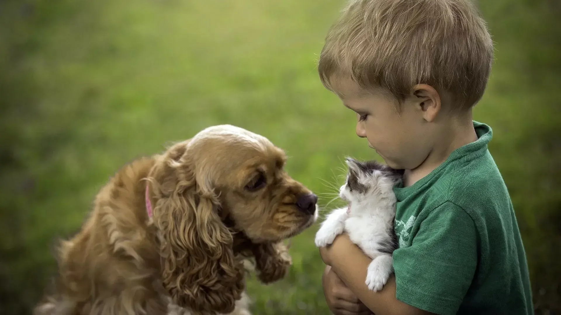 Как получить верный друг. Для детей. Животные. Доброта к животным. Дети и животные доброта. Любовь к животным.