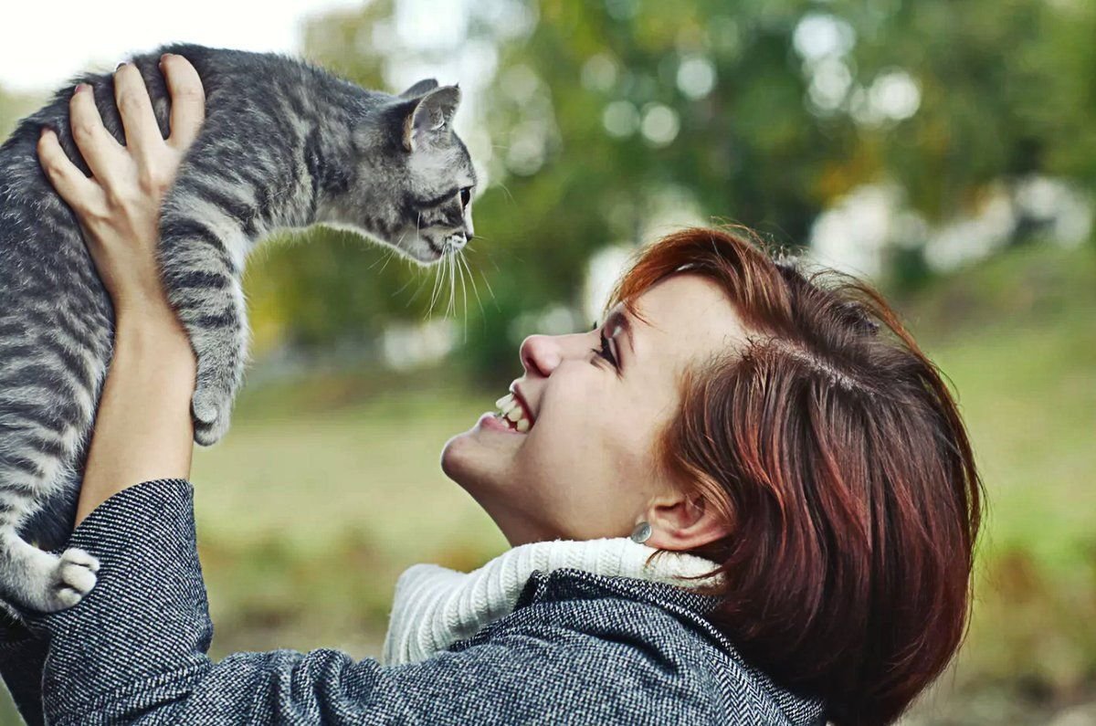 говорящая коты и люди