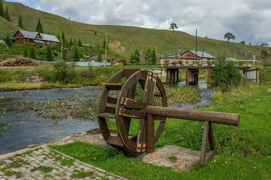 Кын завод фото