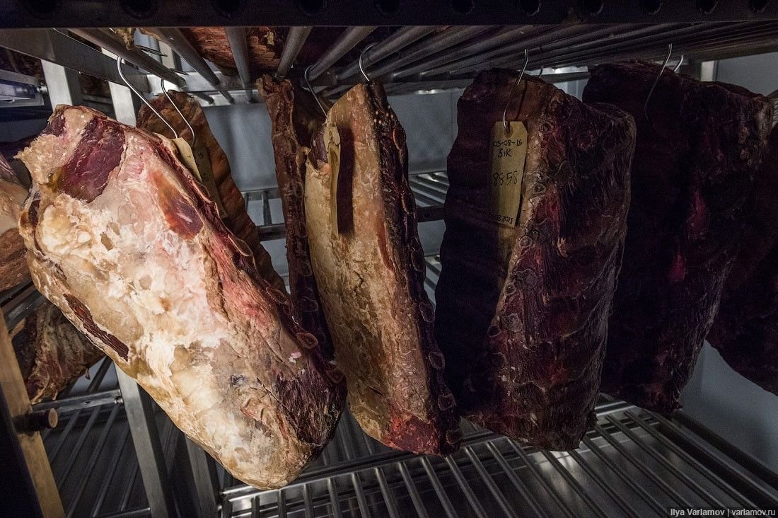 мясо сухого вызревания dry age. камера созревания мяса. говядина сухого вызревания. рибай сухого вызревания. выдержанное мясо для стейка.