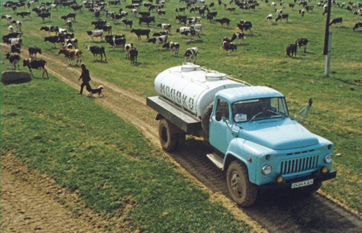 ГАЗ-53 молоковоз АЦПТ-3.3