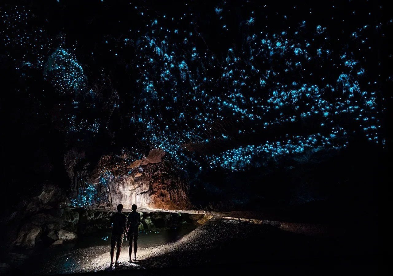 Пещеры светлячков Вайтомо в Вайтомо, новая Зеландия.