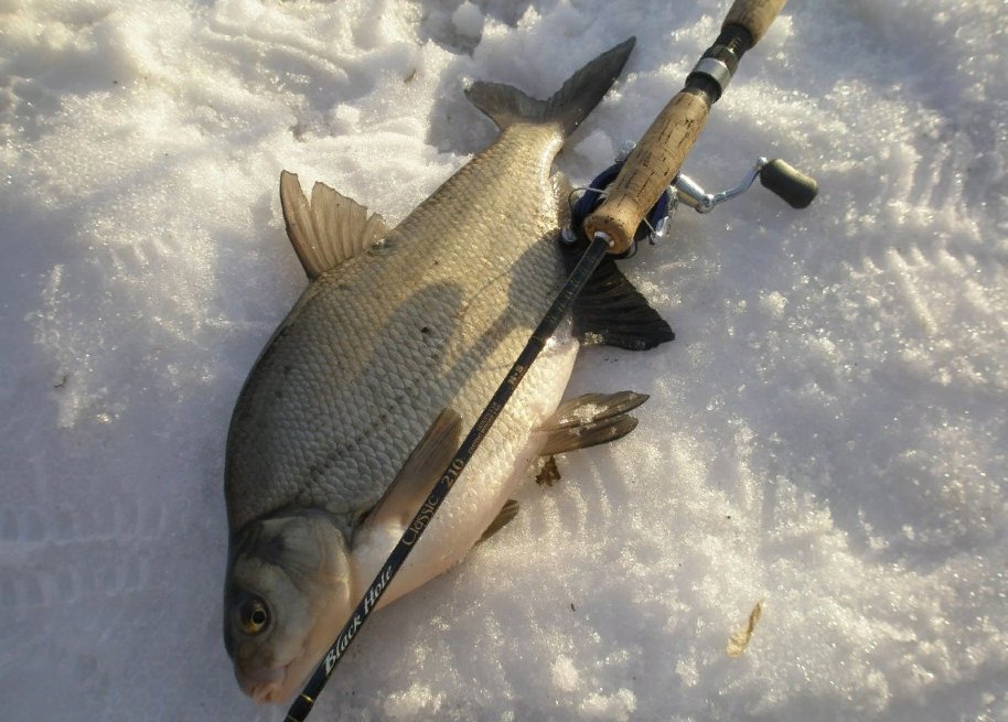 Зимняя прикормка для плотвы своими руками. Тесто для плотвы зимой. Тесто для плотвы зимой. Ловля плотвы в зимний период. Крючки для ловли плотвы зимой.