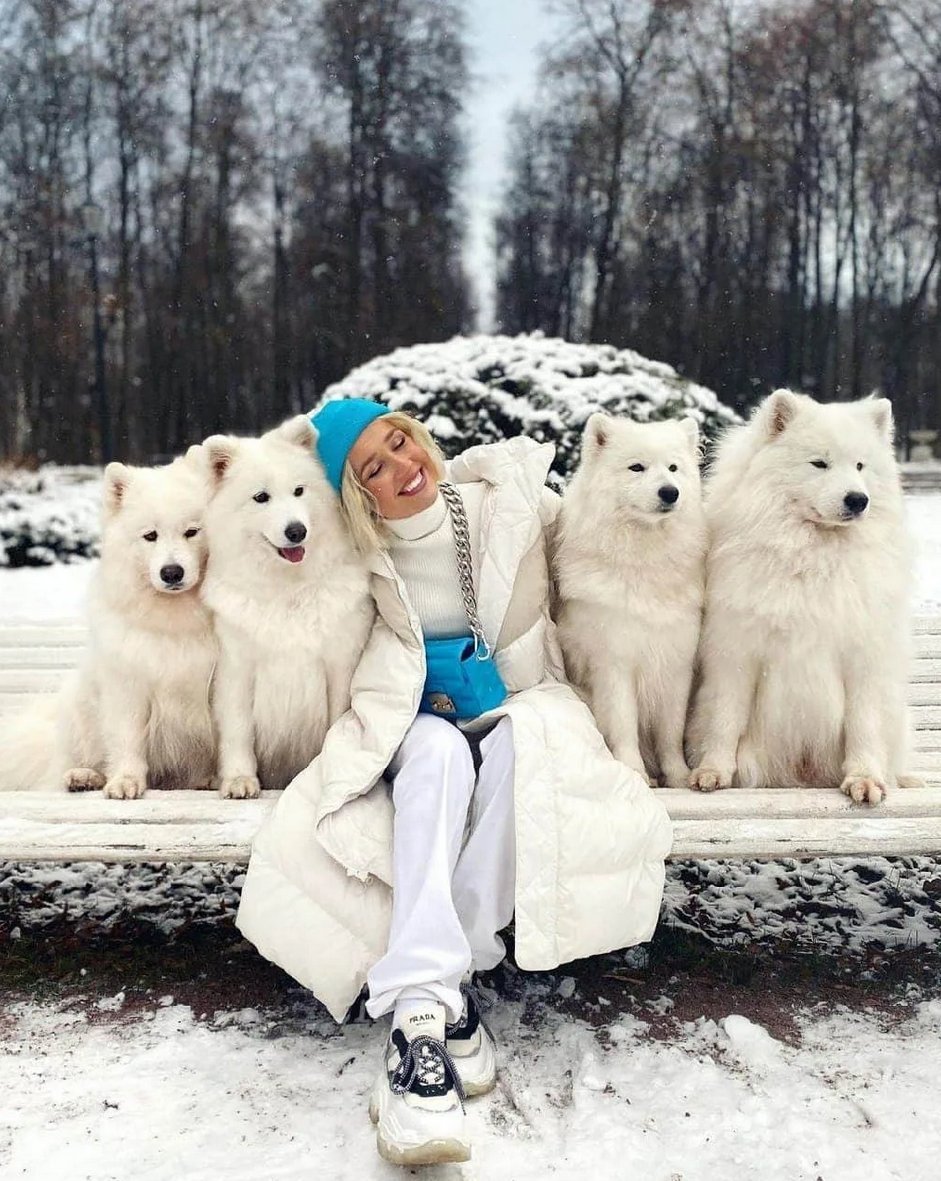 клавакока. клава кока кола. клава кока. клава кока новый год. новогодняя клава кока.