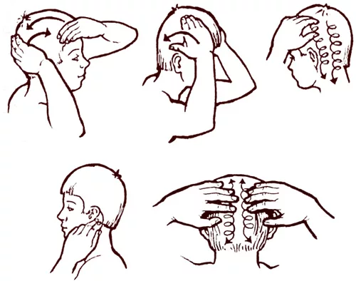Голова техника. Самомассаж головы и шеи схема. Самомассаж массаж головы. Самомассаж шеи и затылка. Мышцы головы самомассаж.