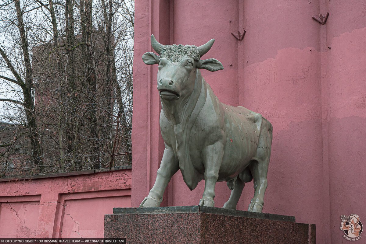 Санкт петербург самсон