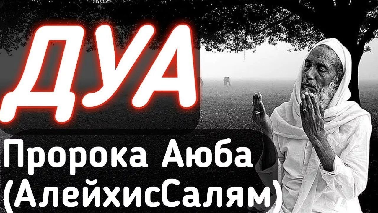 Дуа пророка. Дуа пророка Аюба. Пророк Аюб. Мольба пророка Аюба. Дуа пророка Аюба от болезней.