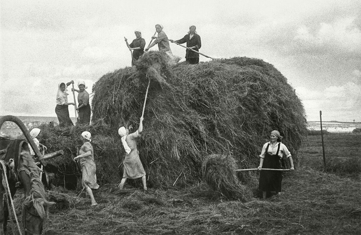 Сенокос в дождь. Деревня 1990 сенокос. Сенокос в СССР. Деревня 1943 сенокос. СССР деревня женщины сенокос.