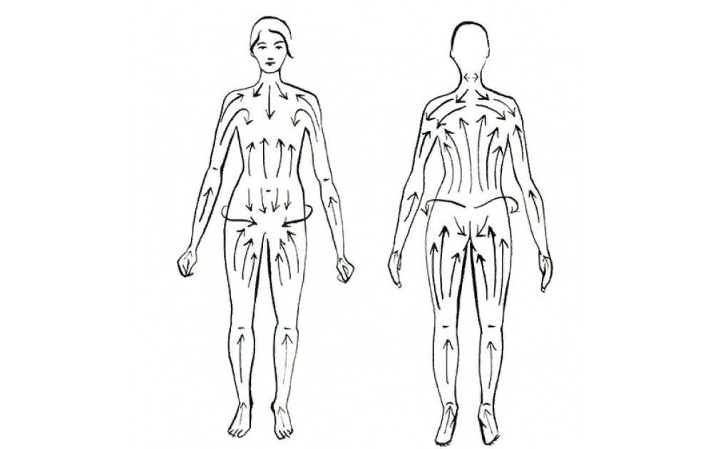 Массажные линии ног и бедер схема