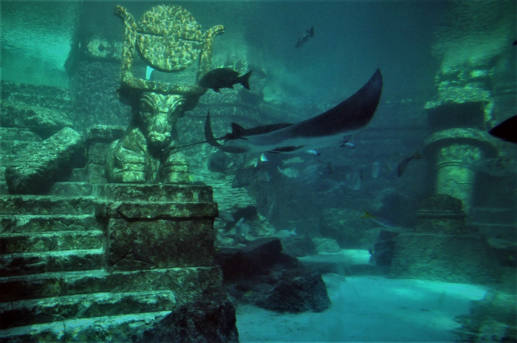 Подводный дворец Клеопатры Египет