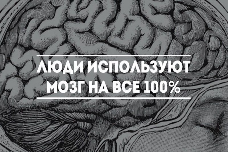 На сколько работает мозг. Мозг человека используется на процентов. Мозг занят. 10 Процентов мозга. Процент человеческого мозга.