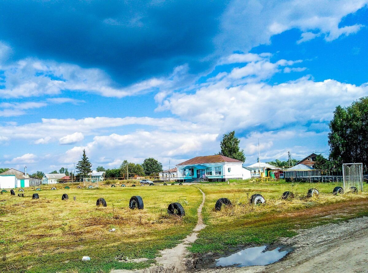Алкужинские Борки панорама