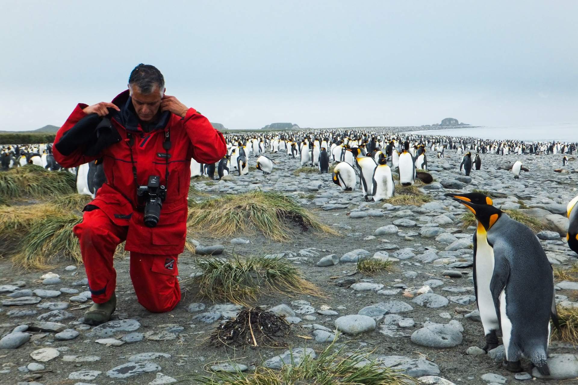 Существует ли народ. Ушуайя пингвины. Антарктида люди. Антарктида жизнь людей. Живут ли люди в Антарктиде.